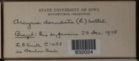 Image Associated With the Occurence